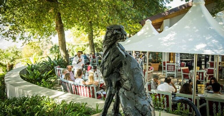 Stellenbosch Private Wine Estate Tour