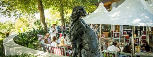 Full Day Stellenbosch Wine Tour with Tastings