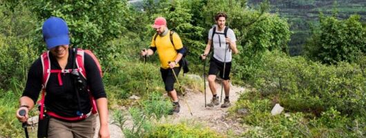 Half Day Hiking Tour in the Drakensberg Mountains