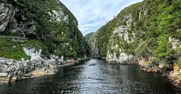 Tsitsikamma Scenic and Adventure Tour