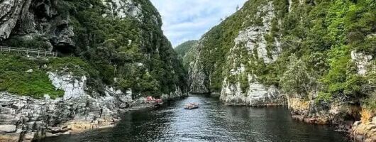 Tsitsikama National Park Day Tour from Port Elizabeth