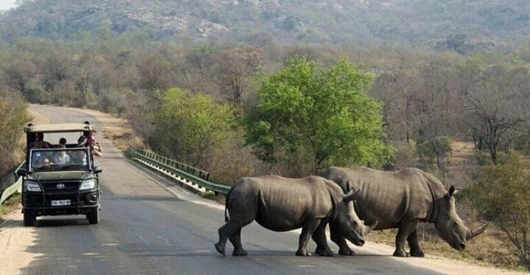 Durban Wildlife and Cultural Day Adventure