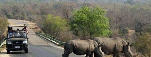 Tala Game Reserve, Phezulu Safari and Durban Tour