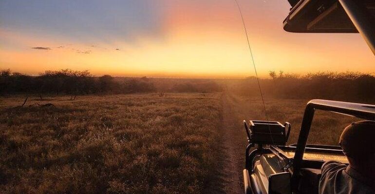 Dinokeng Wildlife Safari and Johannesburg Food Tasting