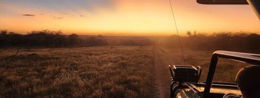 Dinokeng Big Five Safari and African Food Tasting in Johannesburg