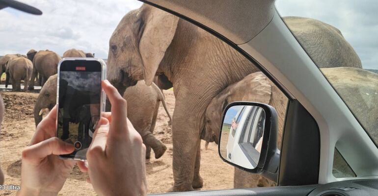 Addo Elephant National Park Wildlife Tour