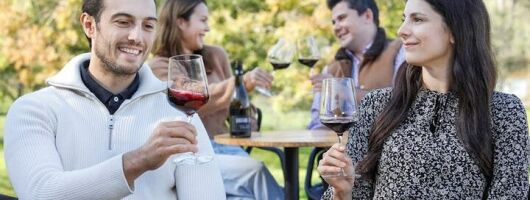 Hunter Valley Tours from Sydney : Wine, Oyster & Dumpling Escape