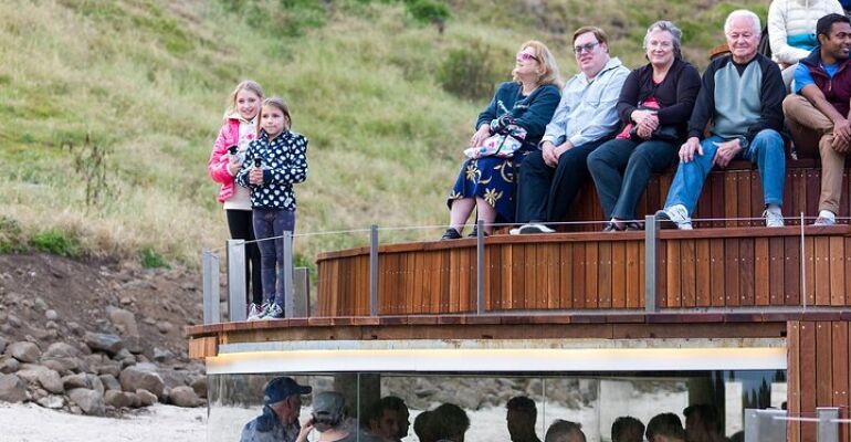 Phillip Island Luxury Wildlife Tour Experience