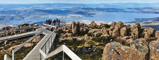 Hobart Adventurer Day Tour | Amazing Views & Native Wildlife