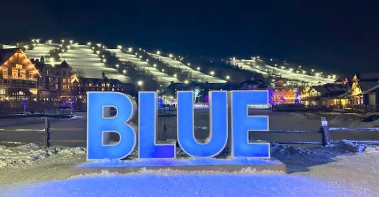 Blue Mountains Private Adventure and Scenic Tour