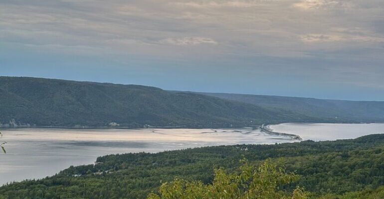 Sydney Cabot Trail Scenic Tour Experience