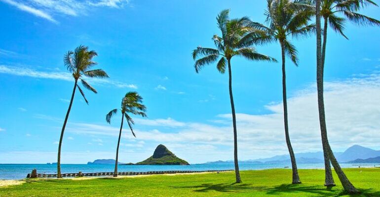 Oahu Private Scenic Driving Tour Experience