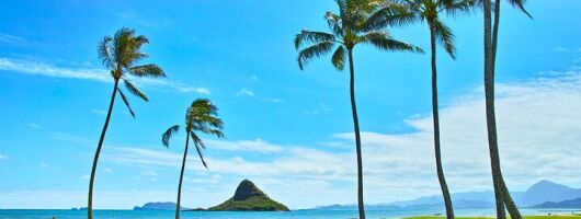 Private 5-Hour Driving Tour of Oahu’s Highlights