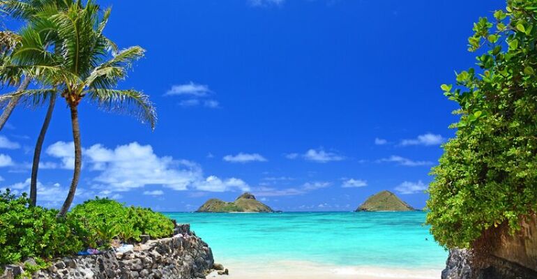 Oahu Private Beach Driving Tour from Waikiki