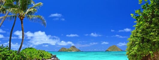 Private Driving Tour of Oahu Scenic South Shore