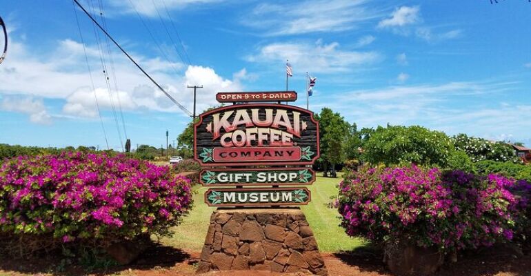 Kauai Full-Day Highlights Tour from Honolulu