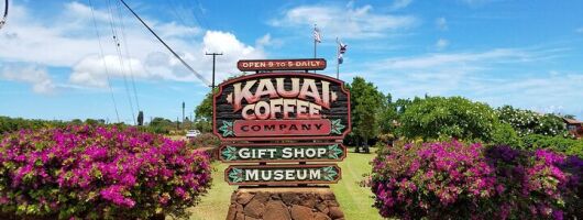Kauai Highlights Full Day Tour with Waikiki Pickup