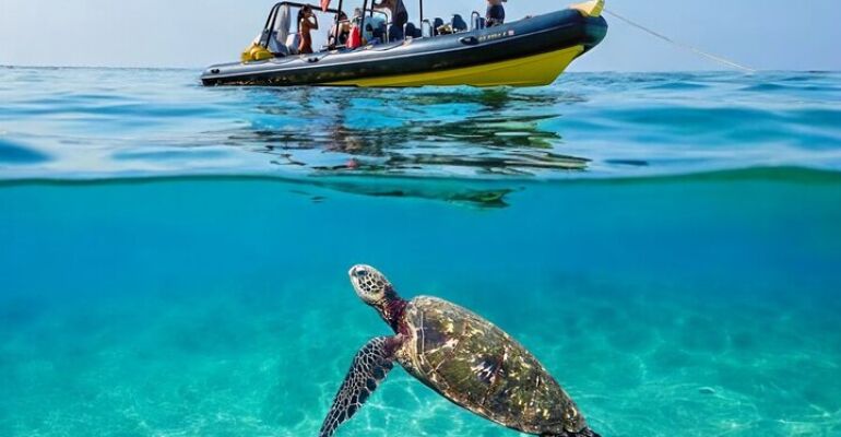 Waikiki Beach Private Sunset Boat Experience