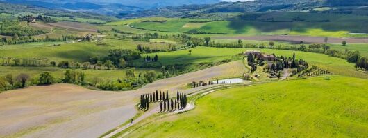 Florence to Montepulciano & Pienza: Val d’Orcia Hill Towns