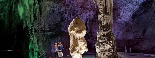 Postojna Cave & Predjama Castle from Trieste