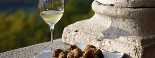 Flavours of Istria Tasting Experience from Trieste