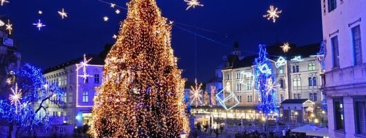 Ljubljana Christmas Market Tour from Trieste