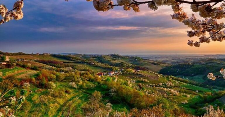 Trieste Collio Wine Region Discovery Tour