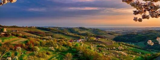 Collio: Cividale Del Friuli and Wine Tastings from Trieste