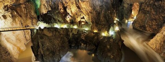 Lipica Stud Farm & Skocjan Caves - Small Group Tour from Trieste