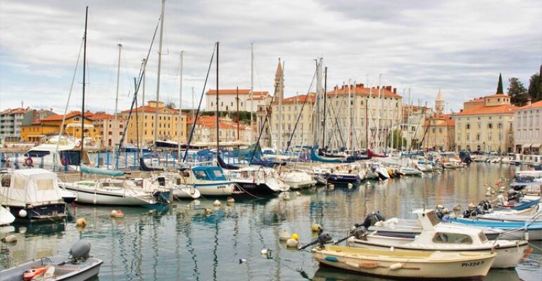 Trieste Scenic Wine and Food Tour