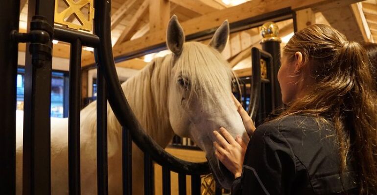 Trieste Lipica Stud Farm and Škocjan Caves Tour