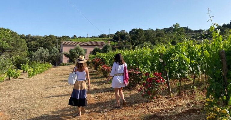 Elba Island Winery Tour and Tasting Experience