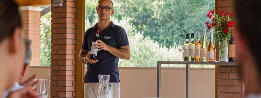 Bardolino: vineyard tour, wine, oil and food tasting