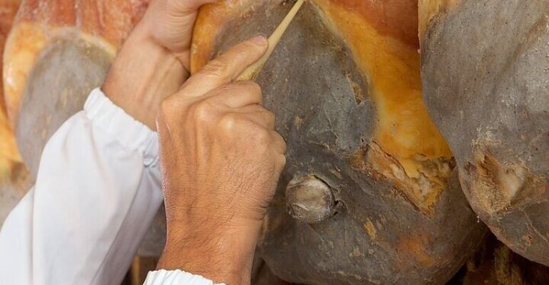 Parma Prosciutto Factory Tour and Tasting