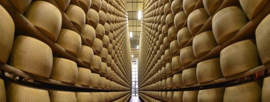 From Parma: Parmigiano Reggiano Farm Tour & Tasting with Transfer