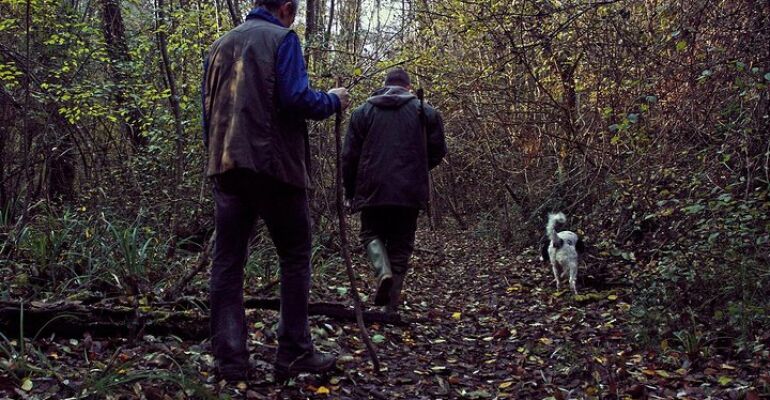 Castellina In Chianti Truffle Hunting Experience