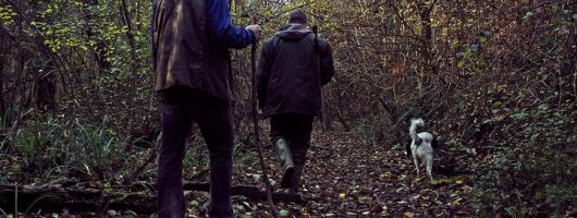 Truffle Hunting in Siena countryside