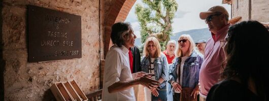 Florence Day Trip: Chianti Wine Tasting, Siena, San Gimignano 