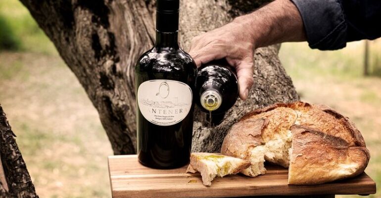 Tricarico Organic Olive Grove Tasting Tour