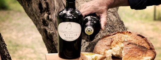 Taste Lucania: Olive Grove Tour & Regional Delicacies