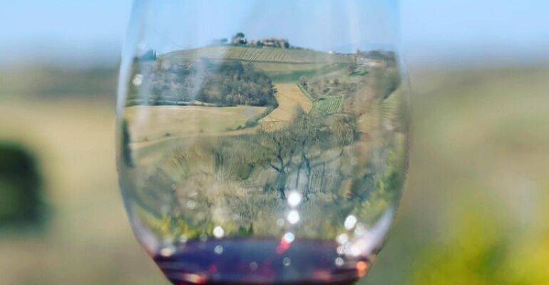 Valiano Vineyard and Wine Tasting Experience