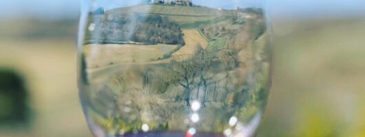 Montepulciano: Wine Tour and tasting