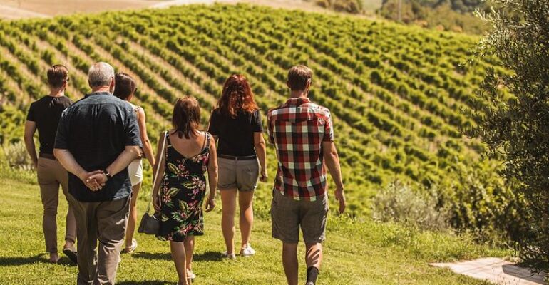 Montalcino Wine and Castle Tour Experience