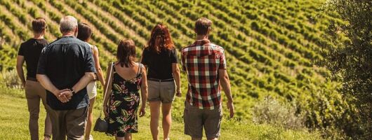 Montalcino Castle and Vineyards tour with tasting