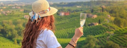 From Venice : Wine and Food tour in the Prosecco Hills 