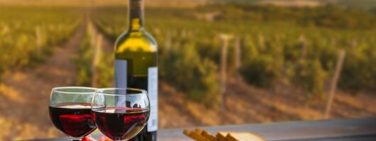 From Parma: Parmigiano,Prosciutto and winery Tour and tasting