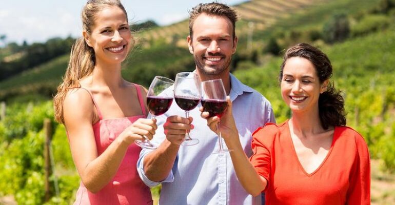 Valpolicella Classica Wine Tasting and Tour