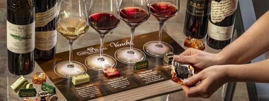 Wine & Chocolate Tour and Tasting in Alba area