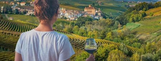 From Alba and Turin: Langhe Wine Tour with tasting