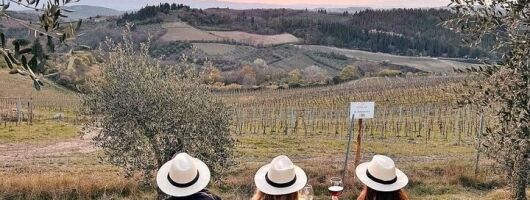 2 wineries Chianti Wine Tasting & Vineyards Walk Private Tour 